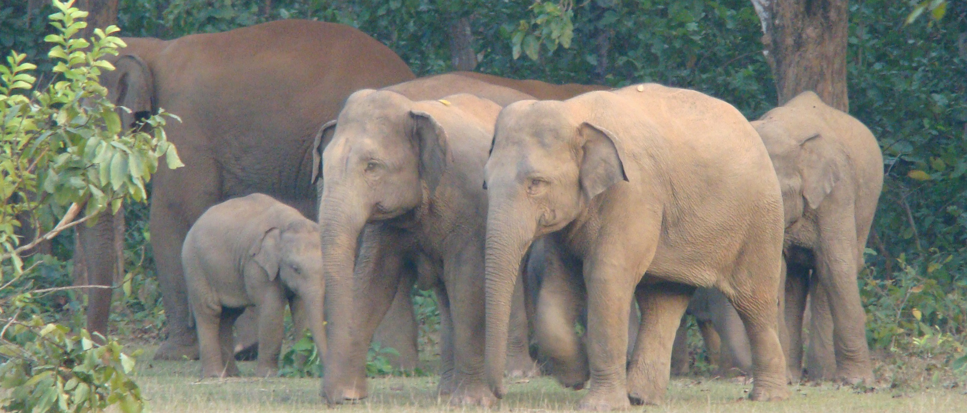 Paribartan